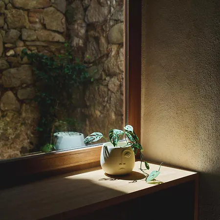 Hypercentre, Superbe Dans Ancienne Ecurie Du Xviiie Siecle * Αζάτσιο