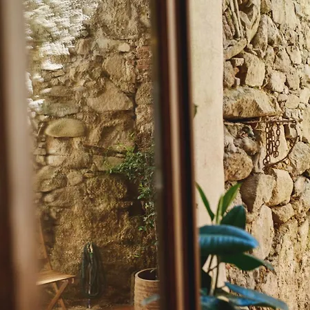 דירה Hypercentre, Superbe Dans Ancienne Ecurie Du Xviiie Siecle אז'אקסיו