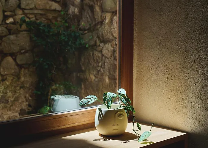 Hypercentre, Superbe Dans Ancienne Ecurie Du Xviiie Siecle * אז'אקסיו