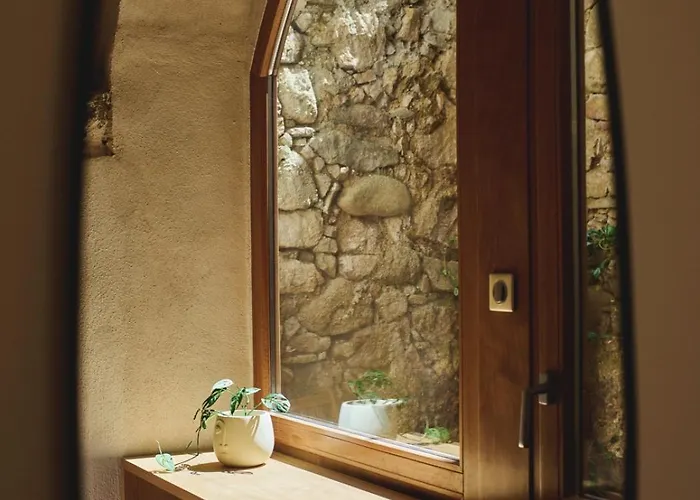 Hypercentre, Superbe Dans Ancienne Ecurie Du Xviiie Siecle Daire *